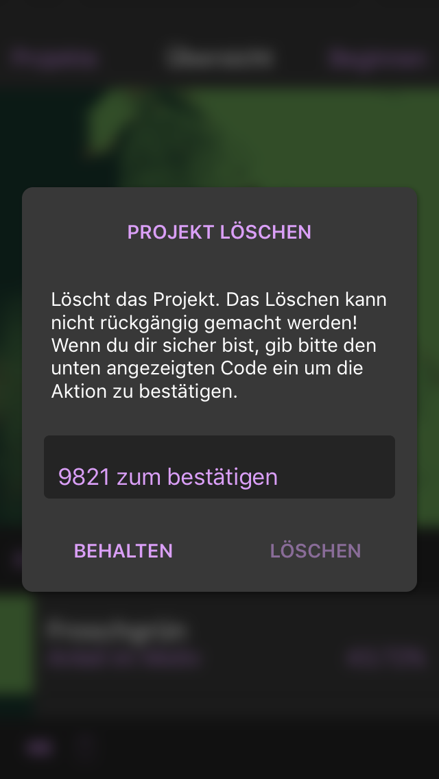 Projektübersicht Dialog